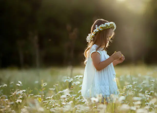 Photo of A beautiful child a girl in a white dress with a wreath of daisies on her head