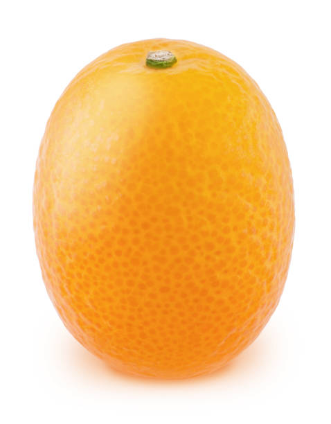 istock Whole kumquat isolated on a white background. 1207037514