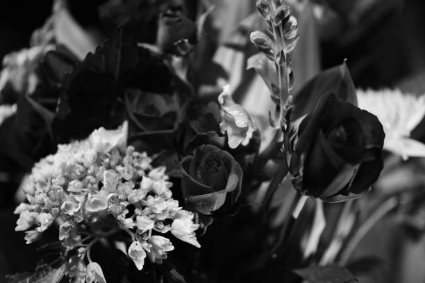istock Flowers in Black and White 1207040336