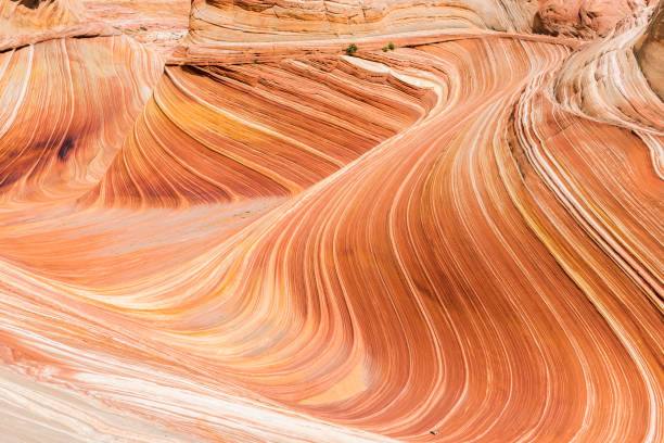 istock The Wave in Coyote Buttes North in Utah 1207045338