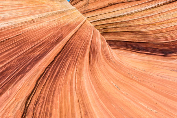 istock The Wave in Coyote Buttes North in Utah 1207046590