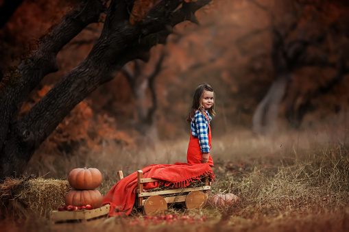 Cheerful little girl with orange pumpkins on autumn forest background