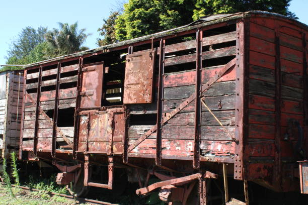istock South African Railways Goods Car 1207048469