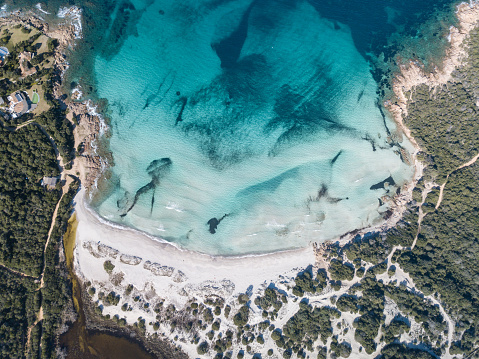 Aerial view of Grande Pevero Beach in Sardinia,North Sardinia,Porto Cervo