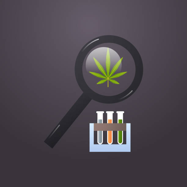istock cannabis under magnifying glass test tubes with cbd oil in chemistry lab experiment medical marijuana drug consumption concept flat 1207055853
