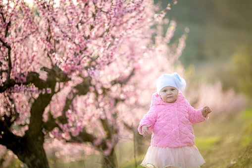 A 2-3 year old child smiles and laughs while running in a cherry blossoming garden.