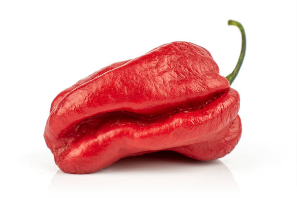 istock Hot chili pepper isolated on white 1207056557
