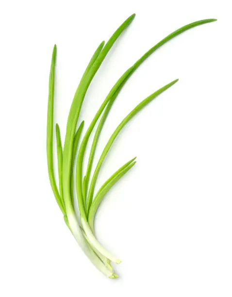 Fresh green onions isolated on white background. Top view