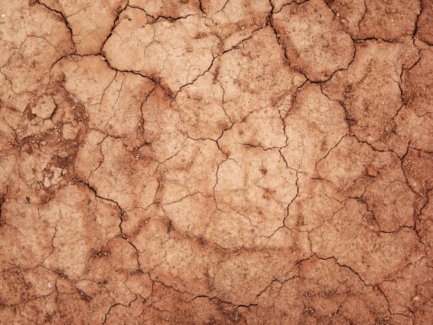 istock The ground has cracks in the top view for the background 1207060203