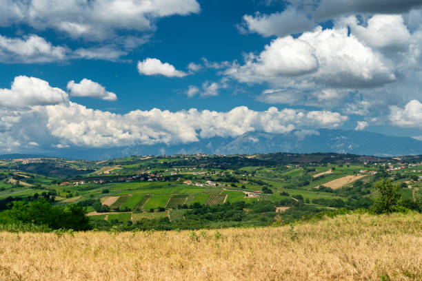 Farm. Italy