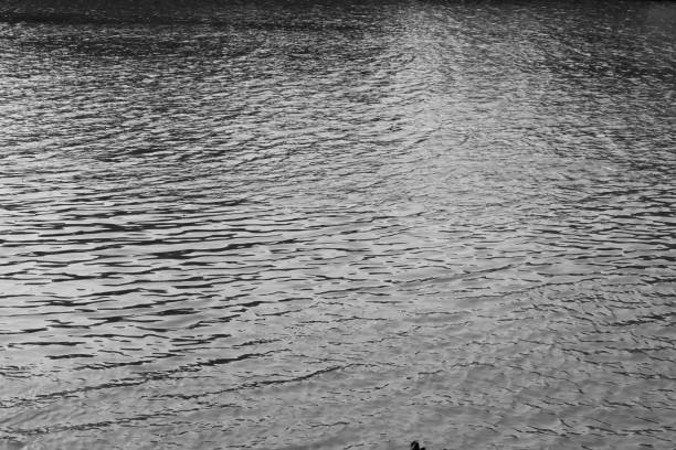 istock Surface of the water with sunset 1207065568
