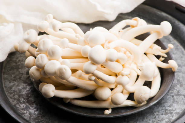 istock White beech mushrooms, Shimeji mushroom 1207066469