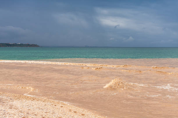 istock Muddy river water mixes with blue seawater. Black Sea 1207067800