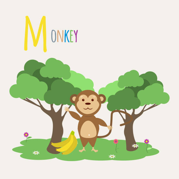 猿。動物の本。レターm - letter m alphabet food fruit点のイラスト素材／クリップアート素材／マンガ素材／アイコン素材