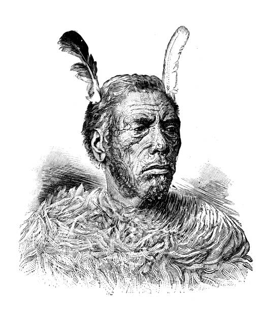 Antique illustration: Maori man Antique illustration: Maori man humphead wrasse stock illustrations