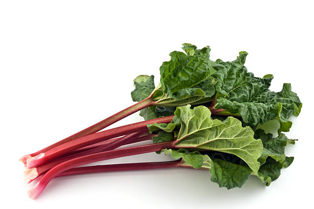Red stems and green leaves of Rhubarb on a white surface Bunch of fresh picked organic rhubarb isolated on white background rhubarb photos stock pictures, royalty-free photos & images