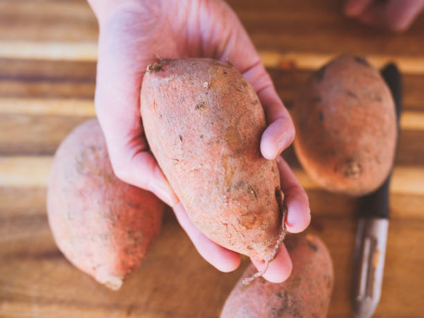 istock hand hold organic sweet potato 1207074169