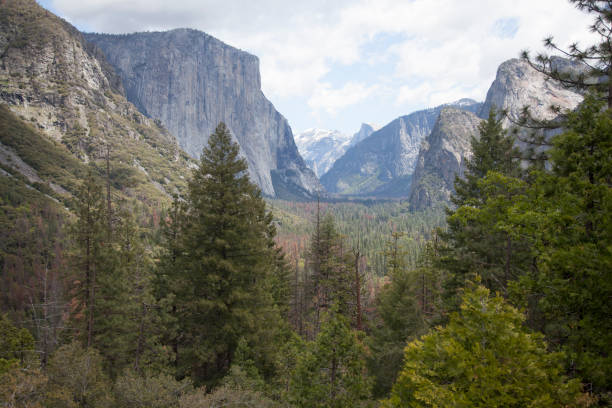 istock Panoramic in Yosemite National Park 1207075604