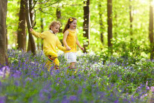 Kids running in bluebell woods. Children play in spring park with wild bluebell flowers. Boy and girl gardening. Garden plants on sunny day. Friends fun outdoor. Brother and sister pick flower bouquet