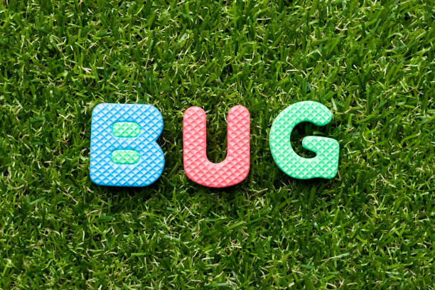 istock Toy foam letter in word bug on green grass background 1207077087