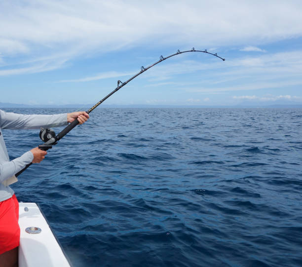 istock Fishing in Costa Rica 1207081475