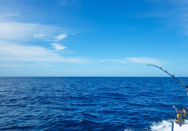 istock Catching the biggest one in the sea 1207081603
