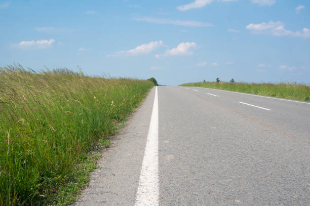 Straight empty asphalt road and motorway. High grass around the road. Sunny summer weather.