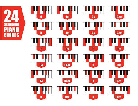 set 24 standard piano chords, flat vector illustration concept