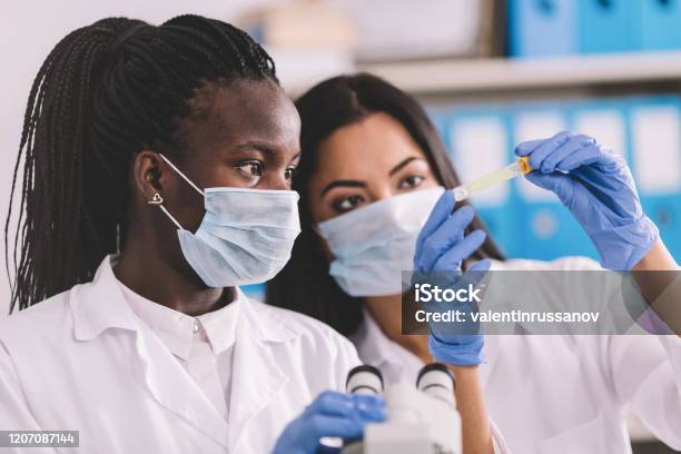 Detection Of The Pathogen Coronavirus Infection In The Microbiology Laboratory Stock Photo - Download Image Now