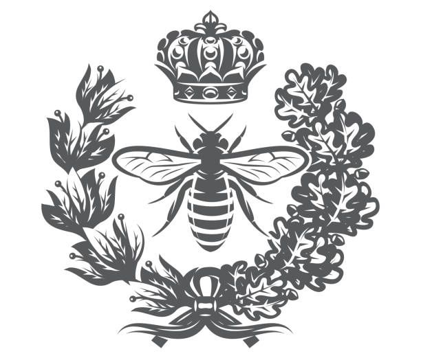 wektorowa monochromatyczny ilustracja z pszczele, korony cesarskiej i wieńca - queen bee stock illustrations