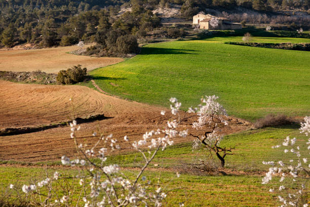 istock Matarranya. Teruel province 1207091253