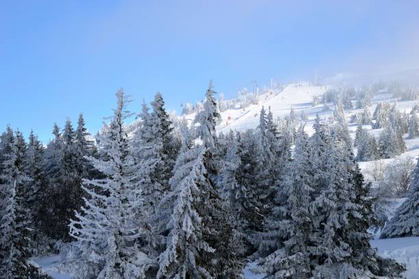 istock mountain landscape in winter on snow 1207091367