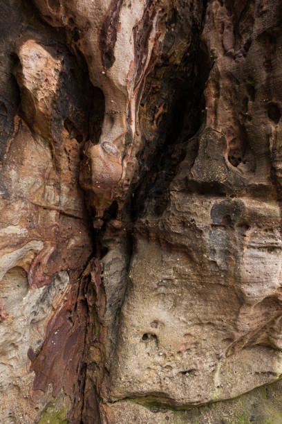 istock Sandstone at Bako national park Borneo 1207092545