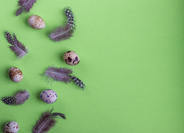 istock Easter composition with quail eggs on a green background. Greeting card. Flat lay. Copy space for text. 1207092682