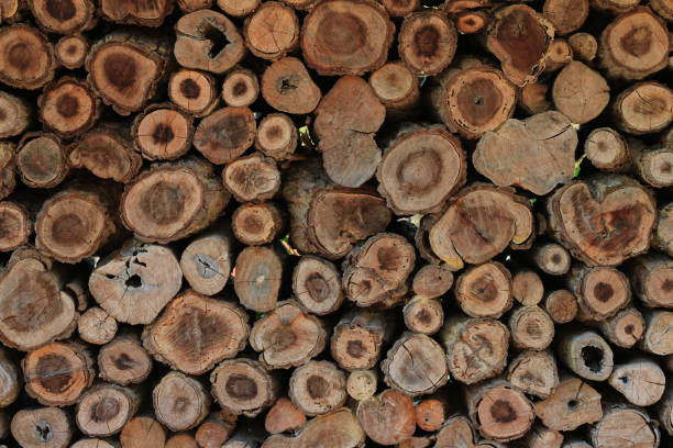 Timber background, texture of pile firewood