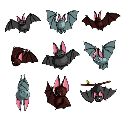 Set of cute colorful bat in different poses or flying mode, or sleeping mode. Cartoon style. Vector illustration on white background