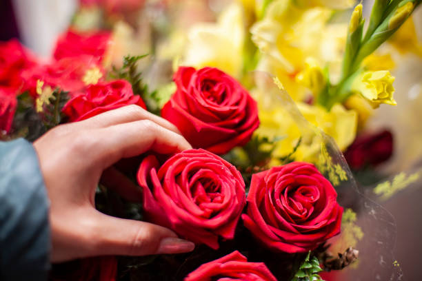 istock Close-up of hand selecting red rose for buying. 1207095692