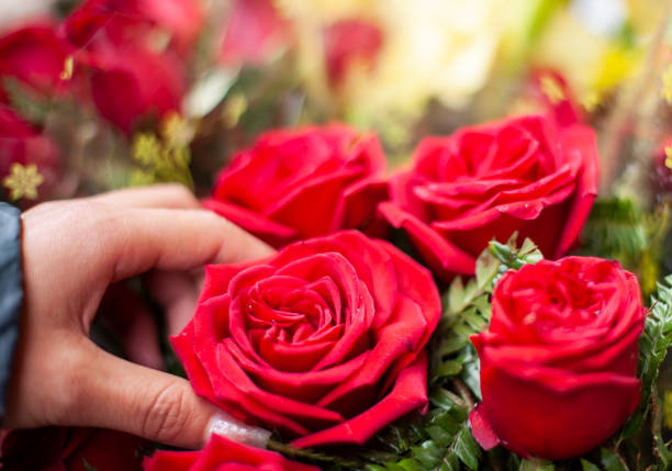 istock Close-up of hand selecting red rose for buying. 1207095739