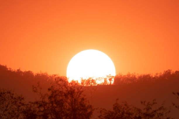 Red sunset and dark tree and cloud on golden sky on hills background