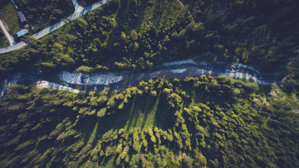 istock River in middle of forest at zakopane poland. 1207098968