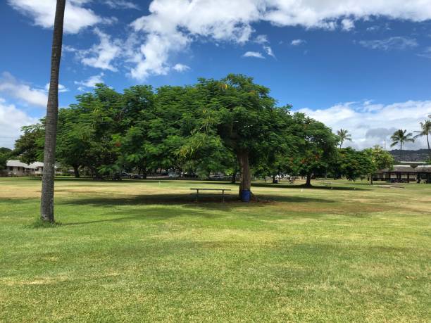 istock Pearl City Park 1207099806