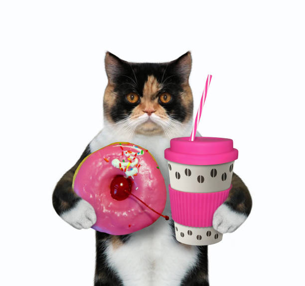 istock Cat holds pink cup of coffee 1207100509
