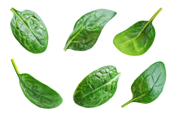foglie di spinaci su sfondo bianco isolato - white jell o fruit salad salad foto e immagini stock