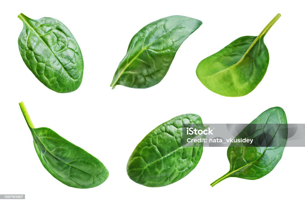 Spinach leaves on a white isolated background Spinach leaves on a white isolated background. toning. selective focus Spinach Stock Photo