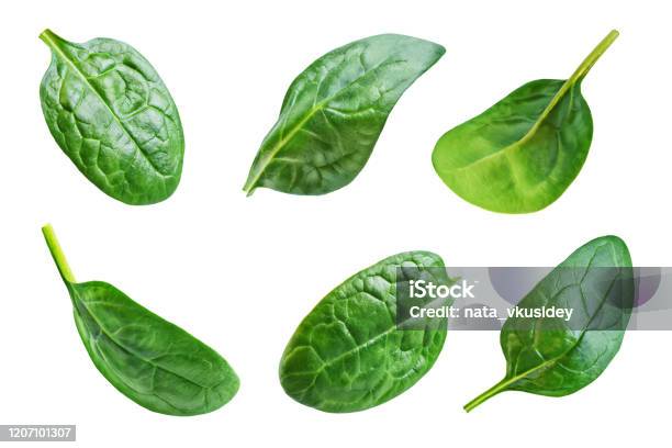 Spinach Leaves On A White Isolated Background Stock Photo - Download Image Now - Spinach, Cut Out, Leaf