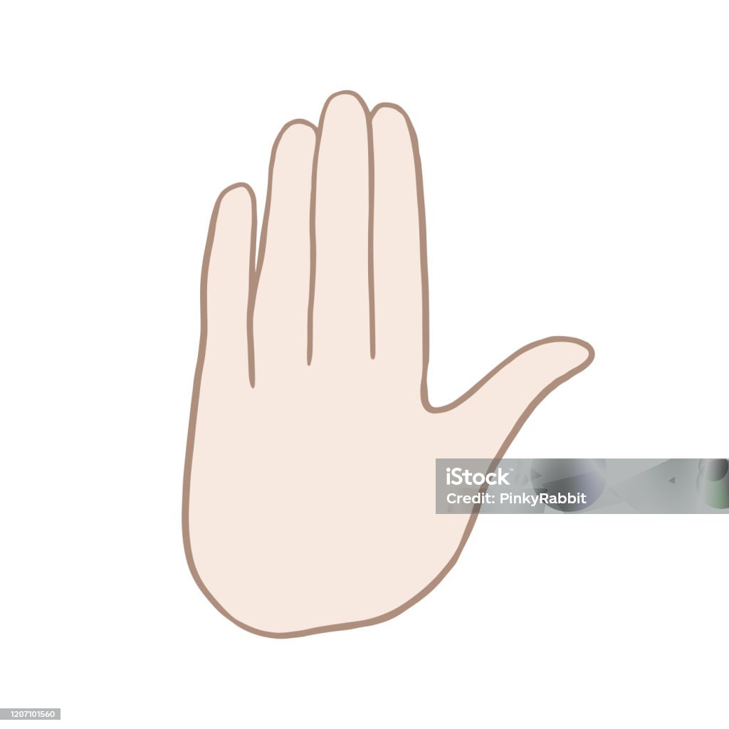 Tay Lòng Bàn Tay Bản Vẽ Vector Của Một Bàn Tay Mở Hình Minh Họa ...