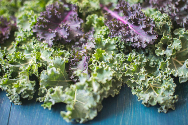 istock Green and purple Organic healthy fresh Kale or leaf cabbage 1207101801