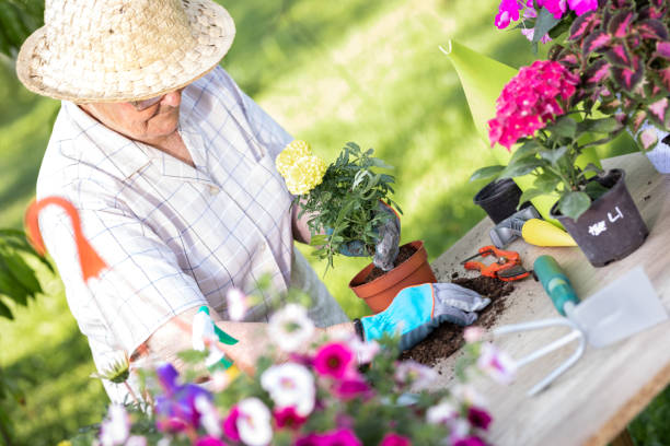 istock Senior woman gardening 1207109315