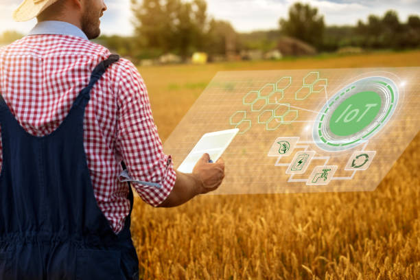 istock Farm worker in wheat field with digital tablet 1207109834