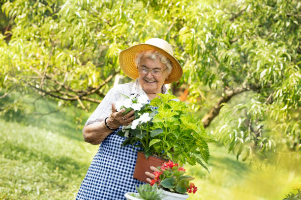 istock cute grandma gardening on beautiful spring day 1207110899